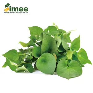 Diếp Cá Hữu Cơ - Organic Fish Mint (50g) - SIMEE