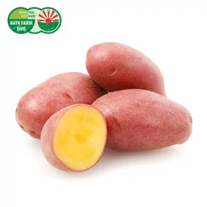 Khoai Tây Hồng - Pink Potato - KATA FARM HUB
