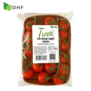 Cà Chua Ngọt Chùm - Tomatoes on The Vine (250g) - DHF