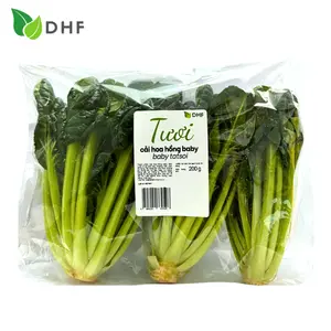 Cải Hoa Hồng Baby - Baby Tatsoi (200g) - DHF
