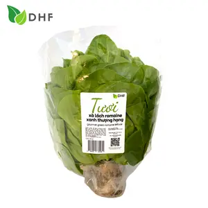 Xà Lách La Mã Xanh Thượng Hạng - Gourmet Green Romaine Lettuce (200g) - DHF