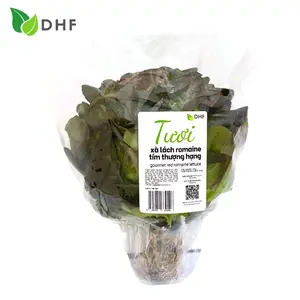 Xà Lách La Mã Tím Thượng Hạng - Gourmet Red Romaine Lettuce (150g) - DHF