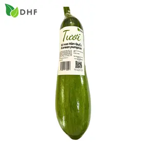 Bí Vua Hàn Quốc - Korean King Zucchini - DHF
