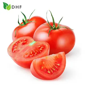 Cà Chua Beef - Beef Tomato - DHF