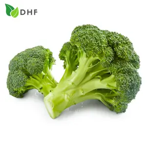 Bông Cải Xanh - Broccoli - DHF