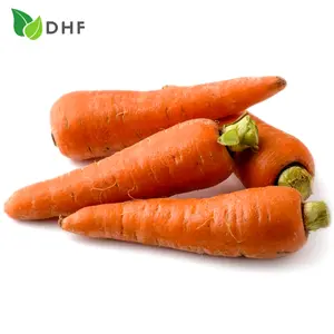 Cà Rốt Loại 1 - Carrot Grade 1 - DHF