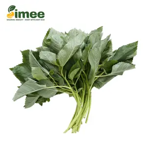 Húng Cây Hữu Cơ - Organic Mulukhiyah (50g) - SIMEE