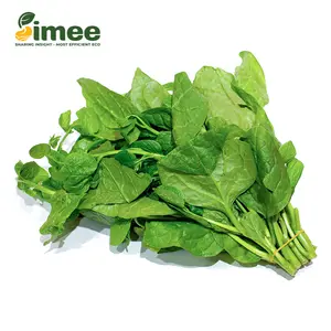 Mồng Tơi Hữu Cơ - Organic Malabar Spinach (250g) - SIMEE