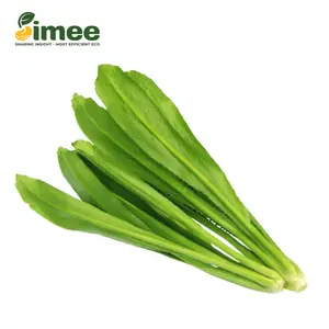 Ngò Gai Hữu Cơ - Organic Sawtooth Herb (50g) - SIMEE