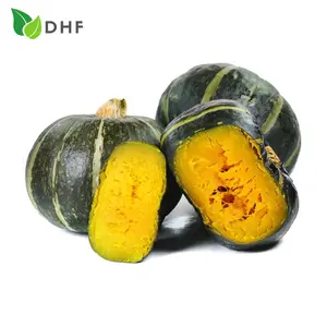 Bí Hạt Dẻ - Chestnut Pumpkin - DHF