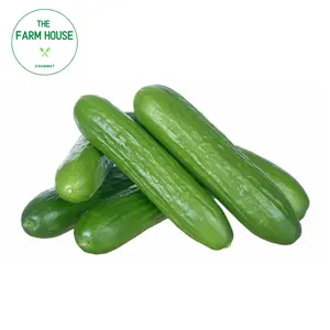 Dưa Leo Nhật Mini - Baby Japanese Cucumber - THE FARM HOUSE