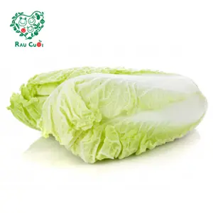 Cải Thảo Giống Nhật - Napa Cabbage - RAU CUOI VIET NHAT