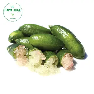 Chanh Ngón Tay - Finger Limes (100g) - THE FARM HOUSE