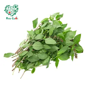 Húng Quế - Basil (50g) - RAU CUOI VIET NHAT