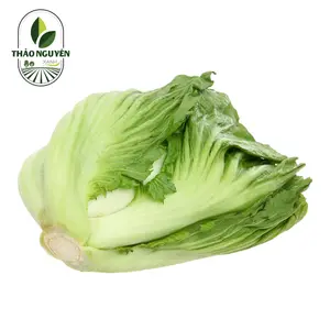 Cải Sậy / Cải Dưa Chua - Mustard Greens for Pickling - THAO NGUYEN XANH