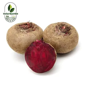 Củ Dền - Beetroot - THAO NGUYEN XANH