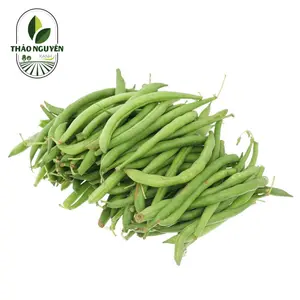 Đậu Cove Nhật - Japanese Green Bean - THAO NGUYEN XANH