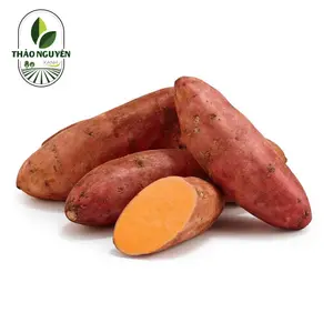 Khoai Lang Mật - Honey Sweet Potato - THAO NGUYEN XANH