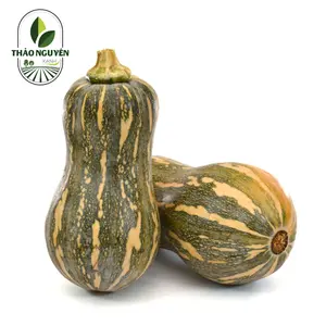 Bí Hồ Lô - Goianinha Pumpkin - THAO NGUYEN XANH