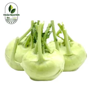 Su Hào - Kohlrabi - THAO NGUYEN XANH