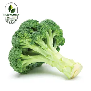 Bông Cải Xanh - Broccoli - THAO NGUYEN XANH