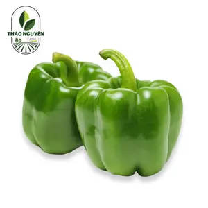 Ớt Chuông Xanh - Green Bell Pepper - THAO NGUYEN XANH