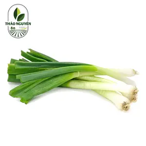 Hành Paro - Leek - THAO NGUYEN XANH