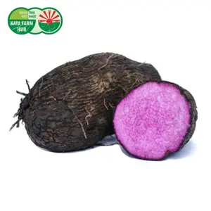 Khoai Mỡ Tím - Purple Yam - KATA FARM HUB