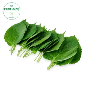 Lá Tía Tô Nhật - Japanese Shiso Leave (20g) - THE FARM HOUSE