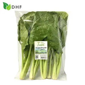 Cải Ngọt Giống Nhật - Japanese Mustard (300g) - DHF