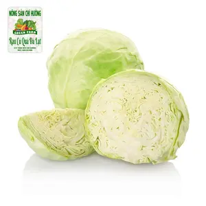 Bắp Cải Trắng - White Cabbage - NONG SAN CHI HUONG