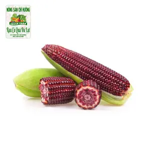 Bắp Tím Nữ Hoàng - Ruby Queen Corn (300g) - NONG SAN CHI HUONG