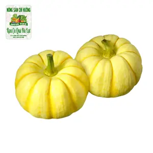 Bí Ngô Mini Vàng - Mini Yellow Pumpkin - NONG SAN CHI HUONG