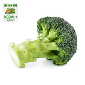 Bông Cải Xanh - Broccoli - NONG SAN CHI HUONG