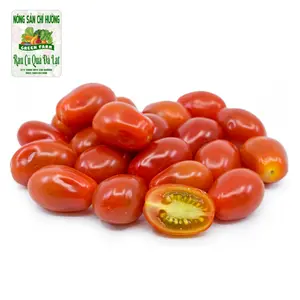Cà Chua Bi Đỏ - Red Cherry Tomato - NONG SAN CHI HUONG