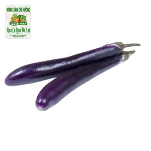 Cà Tím Dài - Long Aubergine / Eggplant - NONG SAN CHI HUONG