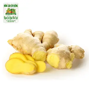 Củ Gừng - Ginger - NONG SAN CHI HUONG