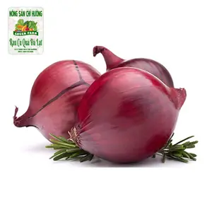 Hành Tây Tím - Purple Onion - NONG SAN CHI HUONG