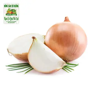 Hành Tây Trắng - White Onion - NONG SAN CHI HUONG