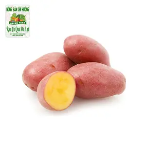 Khoai Tây Hồng - Pink Skin Potato - NONG SAN CHI HUONG