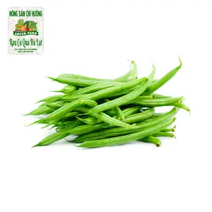 Đậu Cove Nhật - Japanese Green Bean - NONG SAN CHI HUONG