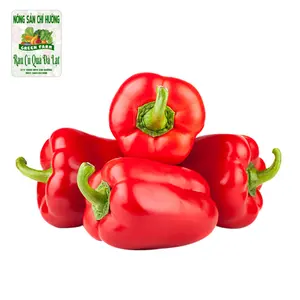 Ớt Chuông Đỏ - Red Pepper / Capsicum - NONG SAN CHI HUONG