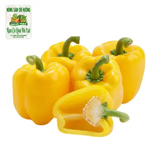 Ớt Chuông Vàng - Yellow Pepper / Capsicum - NONG SAN CHI HUONG