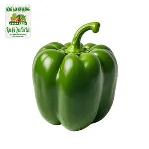 Ớt Chuông Xanh - Green Pepper / Capsicum - NONG SAN CHI HUONG
