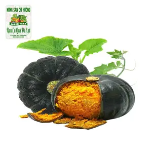 Bí Hạt Dẻ - Chestnut Pumpkin - NONG SAN CHI HUONG
