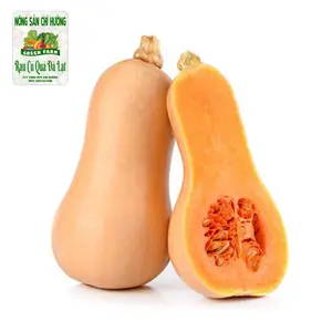 Bí Hạt Đậu - Butternut Squash - NONG SAN CHI HUONG