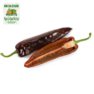 Ớt Ngọt Màu Socola - Chocolony Sweet Palermo Pepper - NONG SAN CHI HUONG