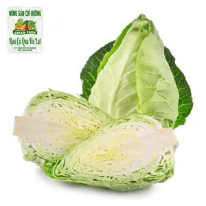 Bắp Cải Trái Tim - Heart-Shaped Cabbage - NONG SAN CHI HUONG