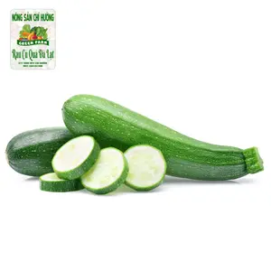 Bí Ngòi Xanh - Zucchini - NONG SAN CHI HUONG