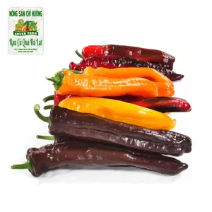 Ớt Ngọt Nhiều Màu - Mixed-Colour Sweet Palermo - NONG SAN CHI HUONG